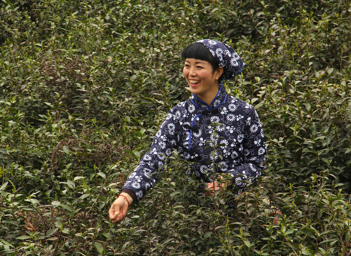 183间房主播跳舞 直播2